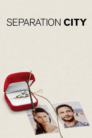 Orașul separărilor - Separation City (2009)