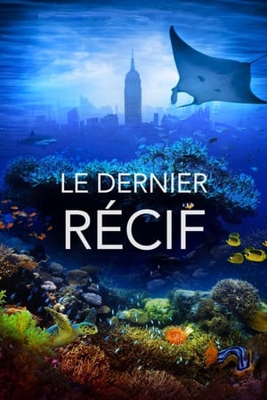 Le dernier récif - The Last Reef: Cities Beneath the Sea (2012)