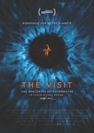 The Visit - une rencontre extraterrestre - The Visit: An Alien Encounter (2015)