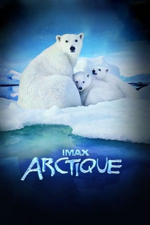 Arctique - To the Arctic 3D (2012)