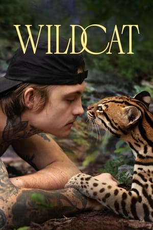 Chat sauvage - Wildcat (2022)