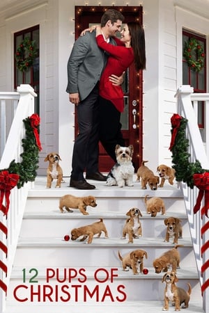Douze chiots pour Noël - 12 Pups of Christmas (2019)