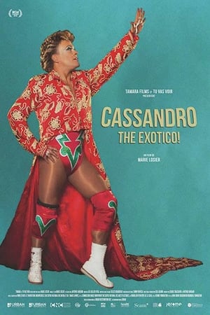 Cassandro the Exotico ! (2018)