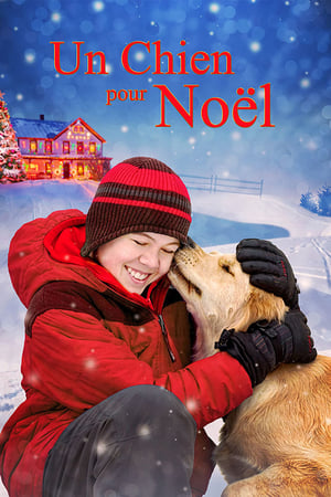 Un chien pour Noël - Christmas with Tucker (2013)