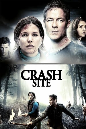 Una famiglia in pericolo - Crash Site (2011)