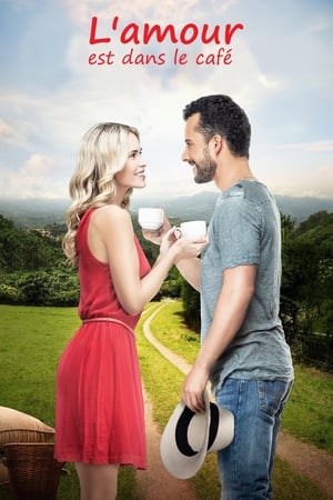 L'amour est dans le café - Cup of Love (2016)