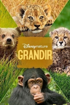 Grandir - Growing Up Wild (2016)