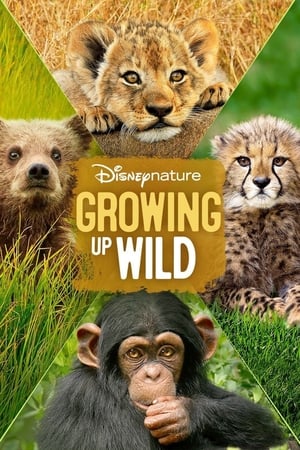 Maturitate în Sălbăticie - Growing Up Wild (2016)