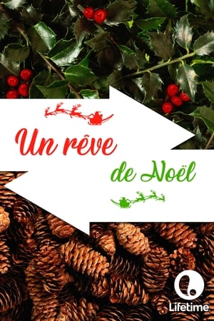 Un rêve de Noël - Holiday Switch (2012)