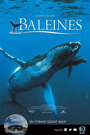 Baleines - Humpback Whales (2015)