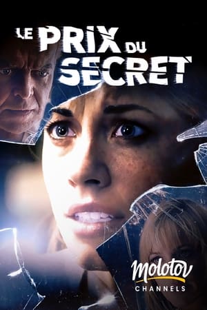 Le Secret des Burnett - Shattered (2017)