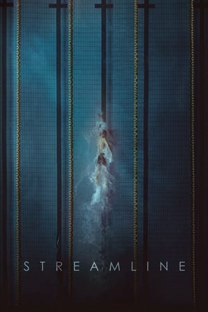 Streamline (2021)