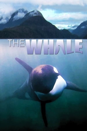 Balena - The Whale (2011)