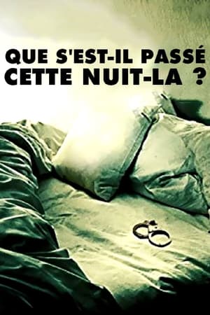 Que s'est-il passé cette nuit-là ? - The Wrong Bed: Naked Pursuit (2017)