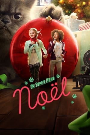 Un Super Mini-Noël - Tiny Christmas (2017)