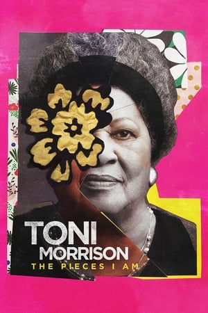 Toni Morrison : The Pieces I Am - Toni Morrison: The Pieces I Am (2019)