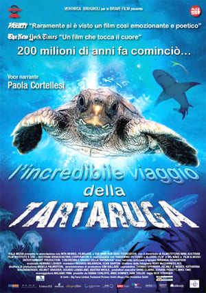 L'incredibile viaggio della tartaruga - Turtle: The Incredible Journey (2009)