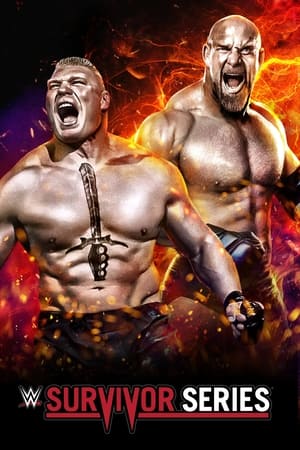 WWE Survivor Series 2016 (2016)