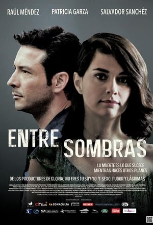 Between Shadows (2015)