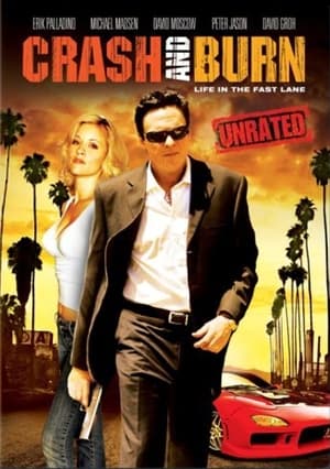 Crash and Burn (2008)