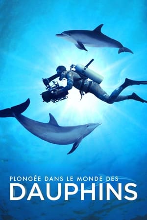 Plongée dans le monde des dauphins - Diving with Dolphins (2020)