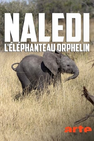 Naledi, l'éléphanteau orphelin - Naledi: A Baby Elephant's Tale (2016)