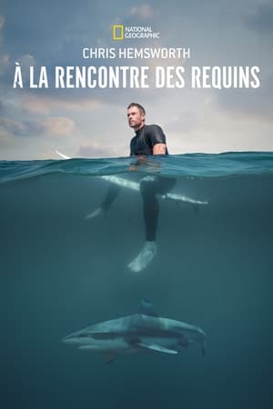 Chris Hemsworth à la rencontre des requins - Shark Beach With Chris Hemsworth (2021)