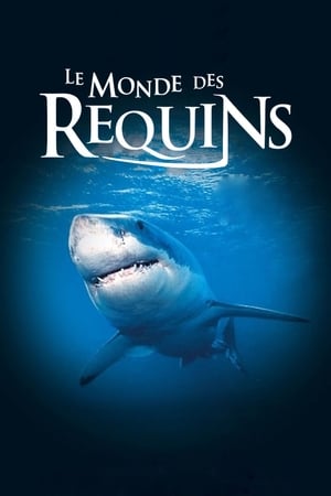 Le Monde des requins - Sharks 3D (2004)