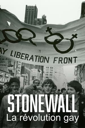 Stonewall, la révolution gay - Stonewall Uprising (2010)