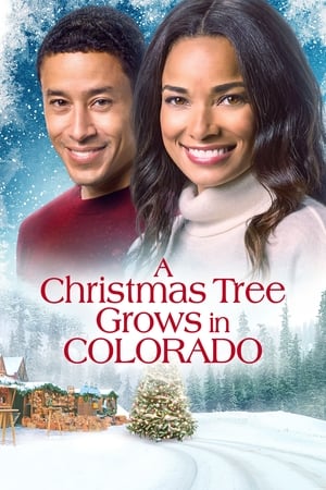 Un sapin de Noël, deux amoureux - A Christmas Tree Grows in Colorado (2020)