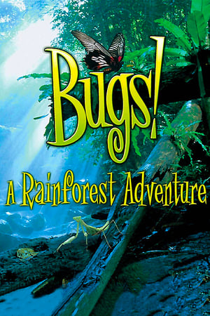 Bugs ! : A Rainforest Adventure - Bugs! (2003)