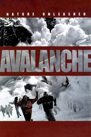 Catastrophe naturelle: Avalanche - Nature Unleashed:  Avalanche (2004)