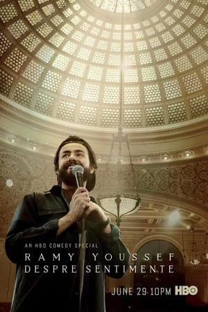 Ramy Youssef: Despre sentimente - Ramy Youssef: Feelings (2019)