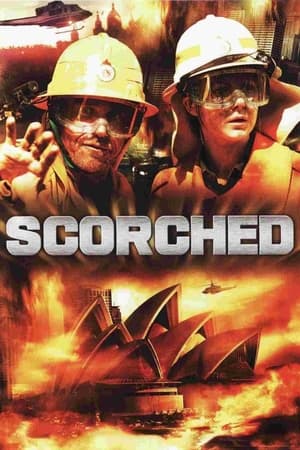 2012 : Terre brûlée - Scorched (2009)