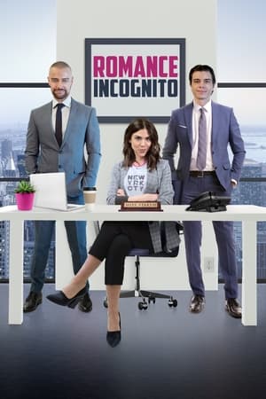 Romance incognito - The Office Mix-Up (2020)