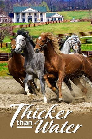 Pour une autre vie - Thicker Than Water (2005)