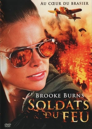 Soldats du feu - Trial by Fire (2008)