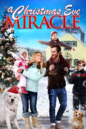 Un voeu pour Noël - A Christmas Eve Miracle (2015)