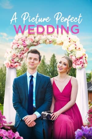 Album de nuntă - A Picture Perfect Wedding (2021)