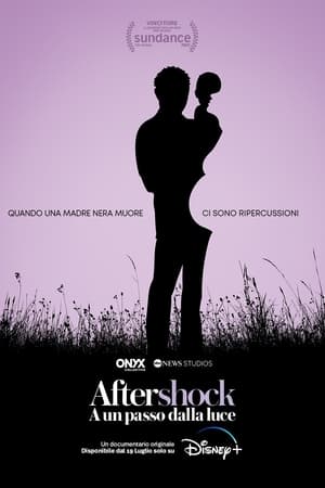 Aftershock - A un passo dalla luce - Aftershock (2022)