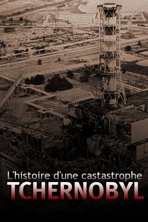 L'histoire d'une catastrophe: Tchernobyl - Disaster at Chernobyl (2004)