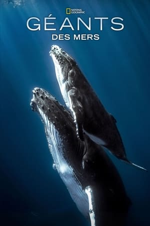 Géants des mers - Giants of the Deep Blue (2017)
