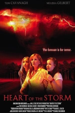 Le courage d'une mère - Heart of the Storm (2004)