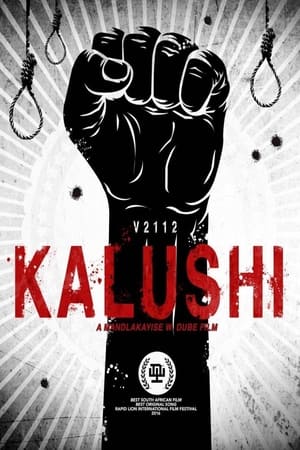 Kalushi : The Story of Solomon Mahlangu (2017)