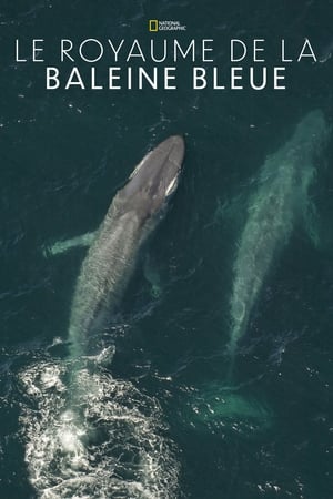Le royaume de la baleine bleue - Kingdom of the Blue Whale (2009)