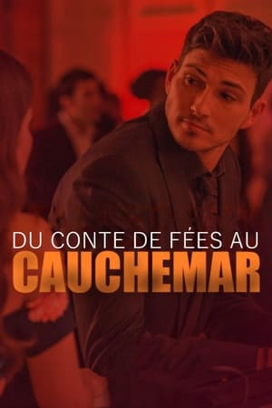 Du conte de fées au cauchemar - Stalked by a Reality Star (2018)