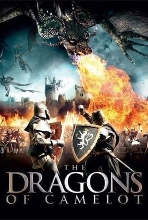 Dragons et chevaliers - The Dragons of Camelot (2014)