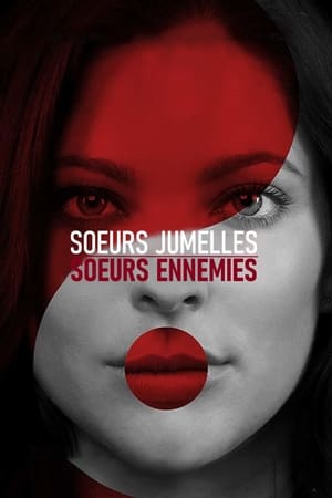 Soeurs jumelles, soeurs ennemies - Twinsanity (2018)