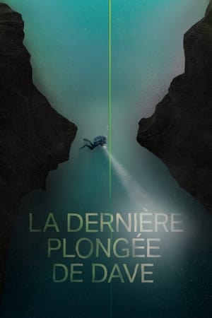 La dernière plongée de Dave - Dave Not Coming Back (2020)