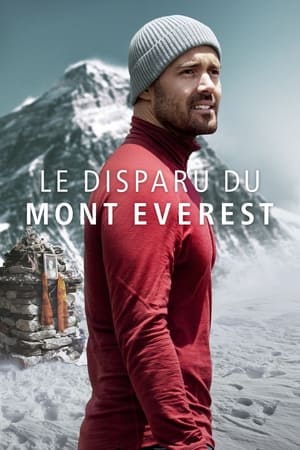 Le disparu du Mont Everest - Finding Michael (2023)